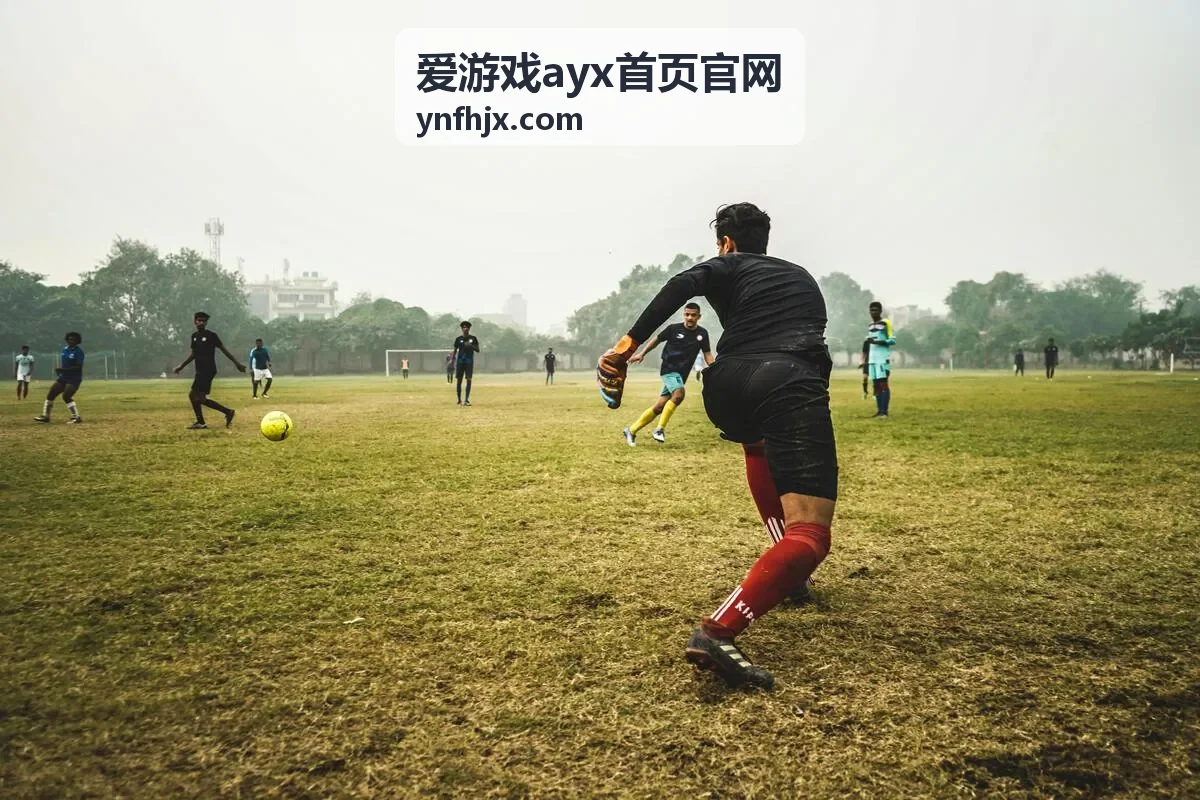爱游戏ayx首页官网策略对局玩法说明
