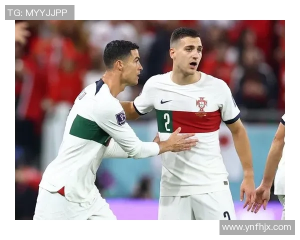 恭喜达洛特与队长布鲁诺引领球队晋级欧洲杯！(达洛特集锦)